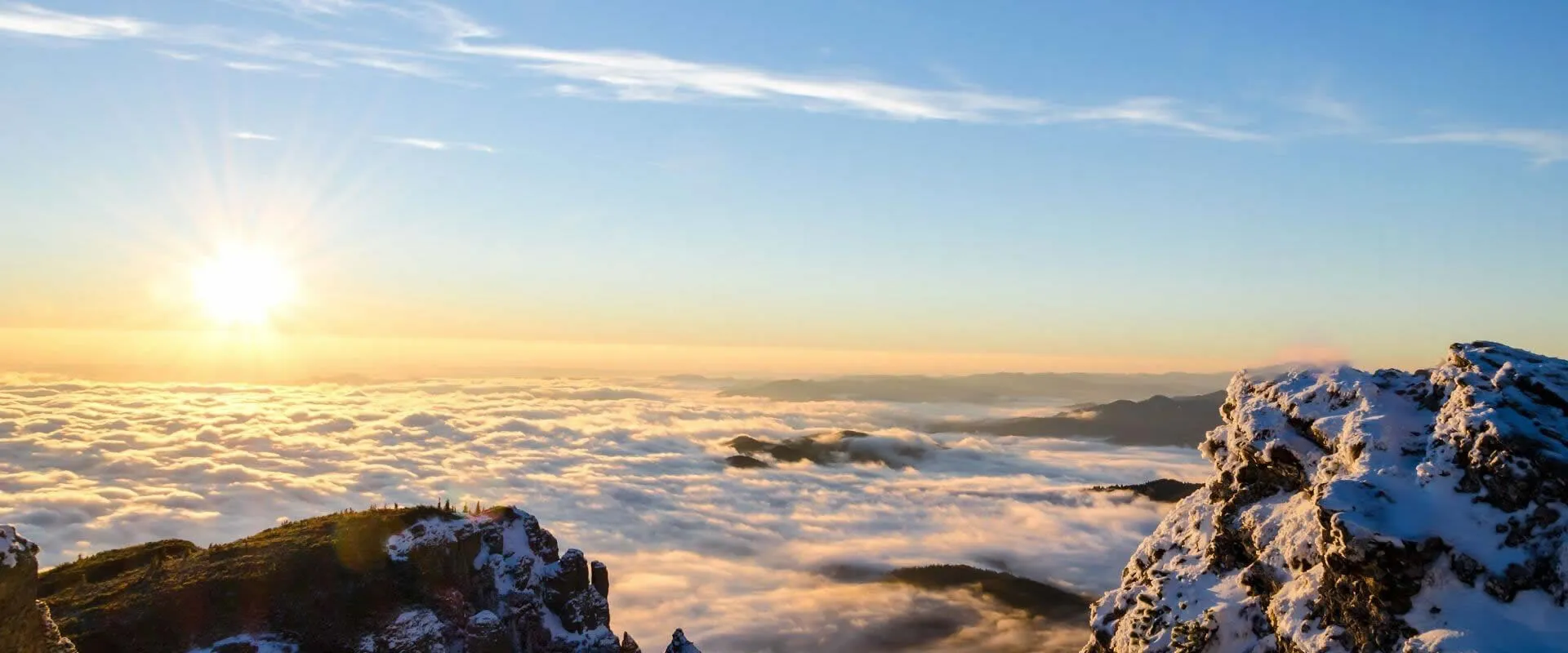 You'll be amazed by our affordable prices and superior quality.