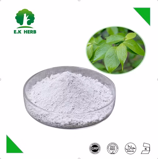 E. K Herb Manufacturer Wholesale Best Selling Food Grade 100% Natural Chlorogenic Acid98% with Anti